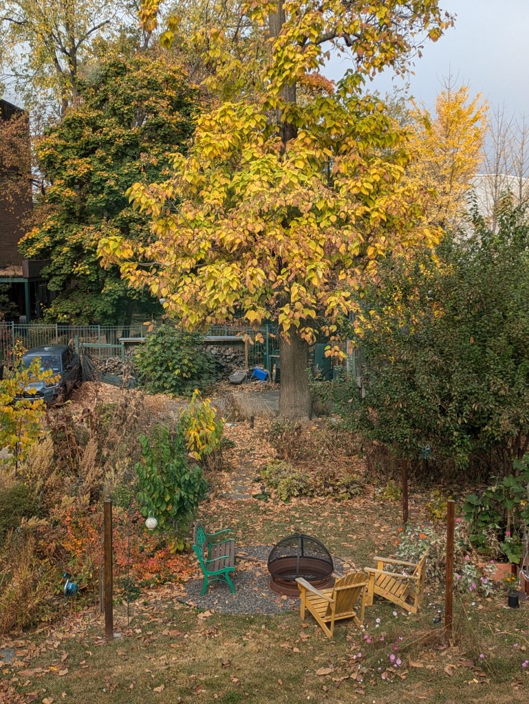 Garden area with autumn foliage, featuring a fire pit surrounded by wooden and green chairs.